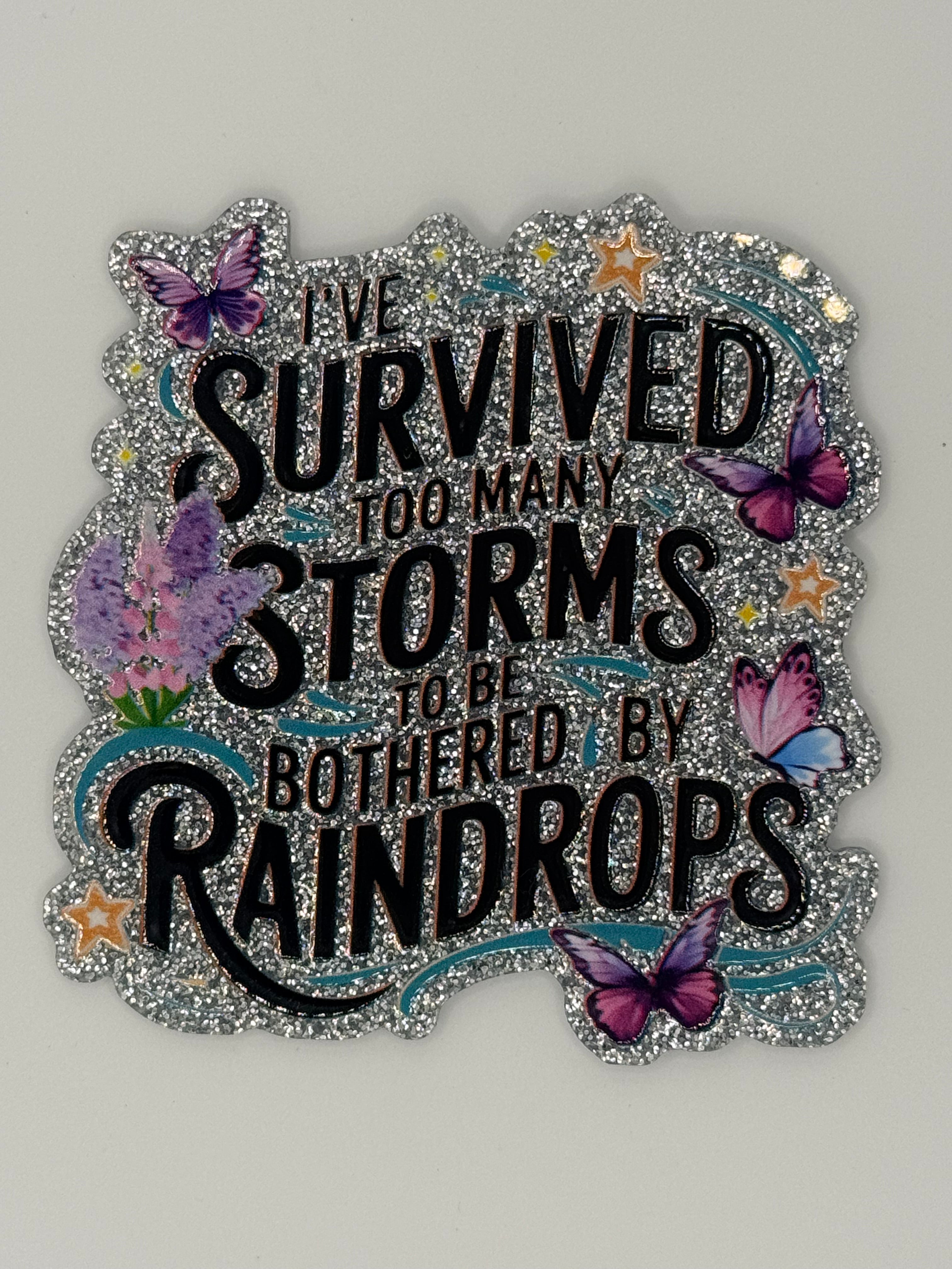 I’ve Survived Too Many Storms to be Bothered by Raindrops Large Magnet